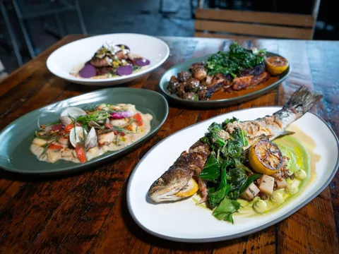 Seared fish, scallop and clam pasta, and roasted chicken plates at Rhubarb