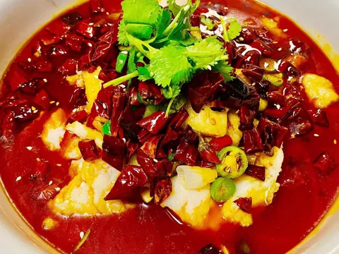 Sichuan boiled fish filet in fiery chili oil topped with dried chilies and cilantro at Sichuan Taste in Portland